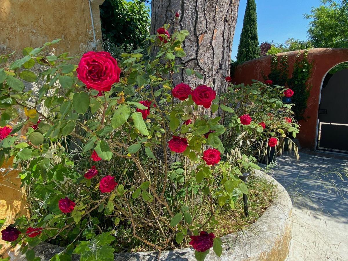Le Clos de L'Isle Arlés Exterior foto